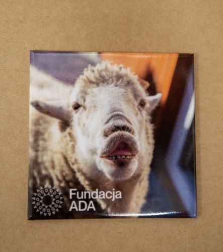 ada (1 of 7).jpg